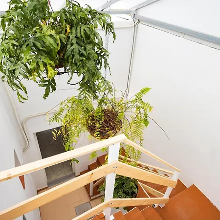 Tatil Evi Ek Eucaliptos 2 Fasnia